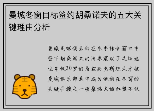 曼城冬窗目标签约胡桑诺夫的五大关键理由分析