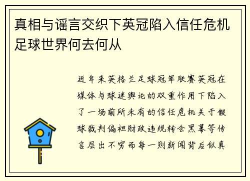 真相与谣言交织下英冠陷入信任危机足球世界何去何从